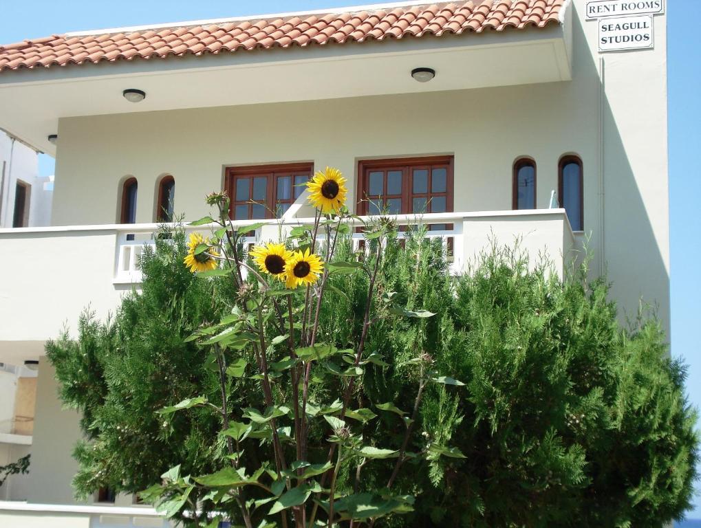 Seagull Studios Stalida Dış mekan fotoğraf